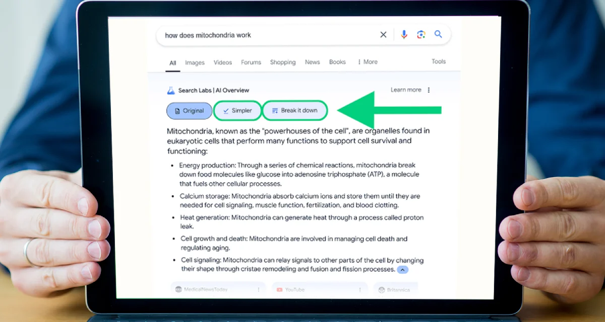 What Exactly Is Google’s AI Overview?