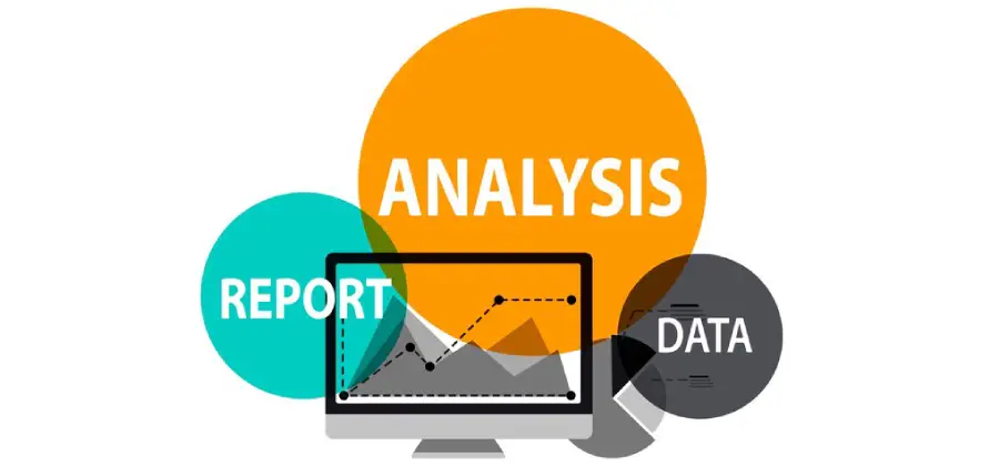 Interpreting Data with Precision: How to Read Web Analytics
