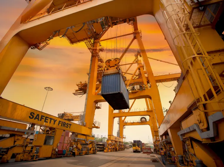 Dragon Star Shipping case study on SEO success in Dubai logistics sector