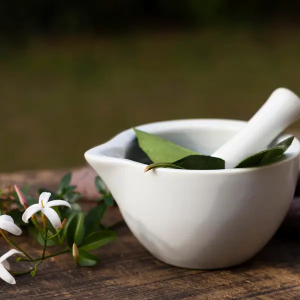  Ayurvedic herbs in a mortar and pestle, illustrating TechPullers' comprehensive web presence for Santhimandiram, an Ayurvedic hospital, emphasizing wellness and individual well-being.