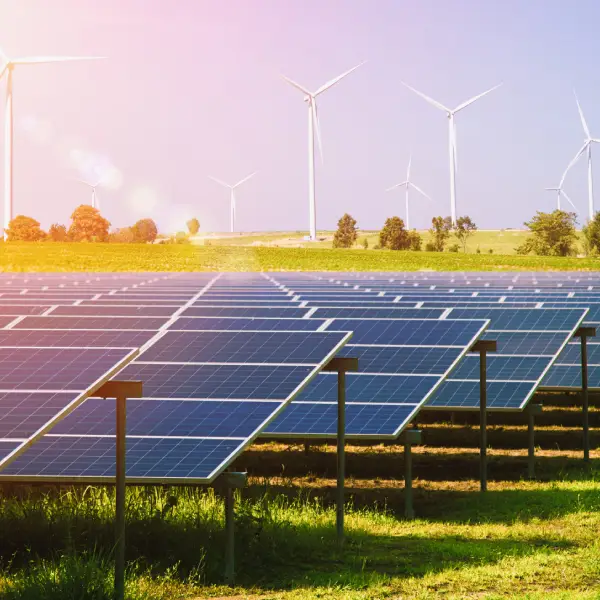 Solar panels and wind turbines in a field, representing TechPullers' web solution for Solglow, a power solutions provider focused on sustainable energy and service reliability.